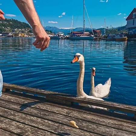 Nortorp, Stort Hus Med Egen Brygge I Sentrum Villa Kvam (Hordaland)